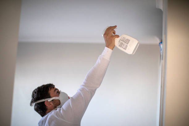 Best Professional Mold Removal  in Mendota, IL