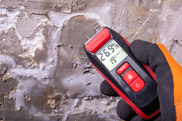 Best Home Mold Removal  in Mendota, IL