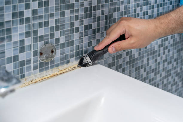 Best Mold Removal Company Near Me  in Mendota, IL